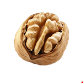 گردو