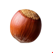 فندق