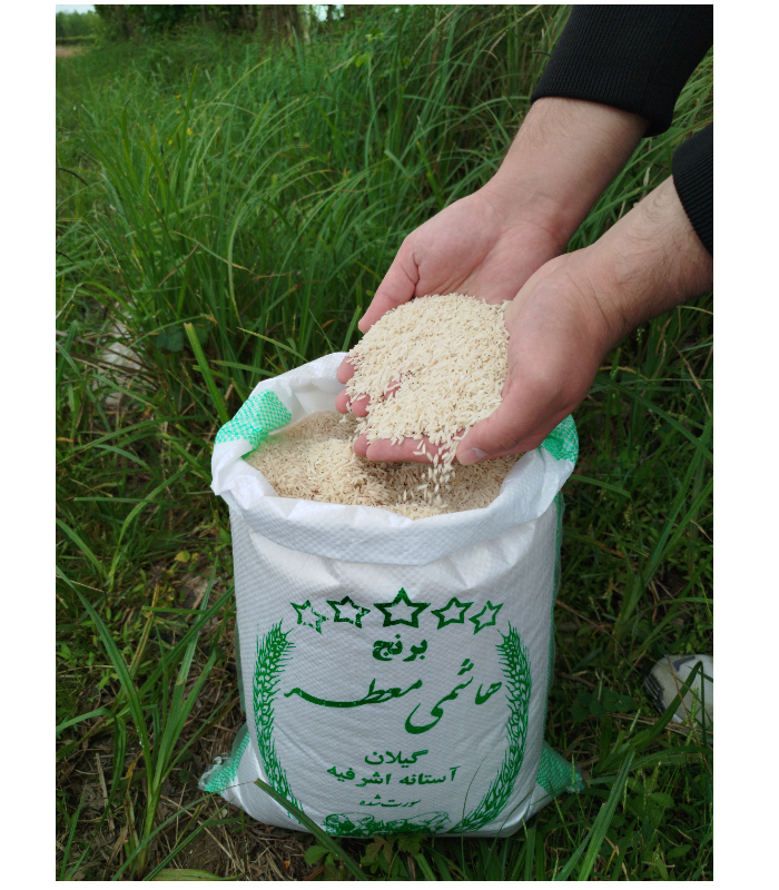 برنج هاشمی 10 کیلویی ممتاز آستانه اشرفیه